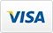 Visa Curved Icon
